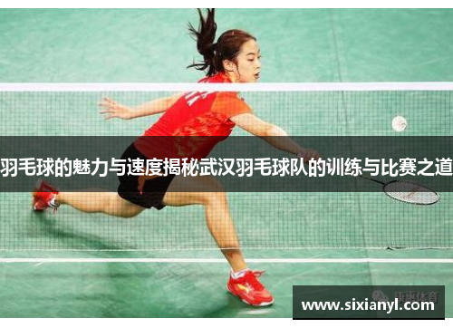 羽毛球的魅力与速度揭秘武汉羽毛球队的训练与比赛之道