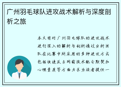 广州羽毛球队进攻战术解析与深度剖析之旅