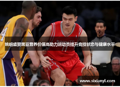 姚明盛赞黑豆营养价值高助力运动员提升竞技状态与健康水平